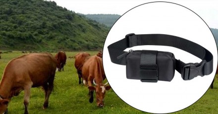 GPS трекер для животных TK STAR 905  (КРС/МРС)